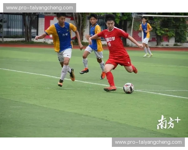 绿茵逐梦，激情碰撞：美国与萨尔瓦多足球的爱恨情仇